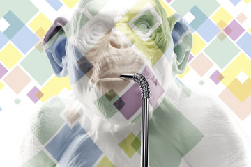 HalmBrüder GmbHMarkenentwicklung